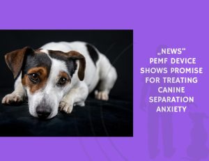 PEMF Device Shows Promise for Treating Canine Separation Anxiety
