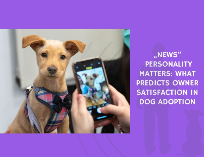 Personality Matters What Predicts Owner Satisfaction in Dog Adoption