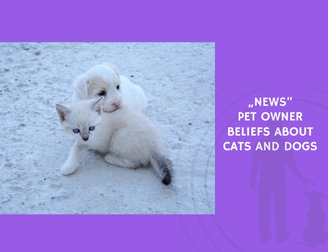 Pet Owner Beliefs About Cats and Dogs
