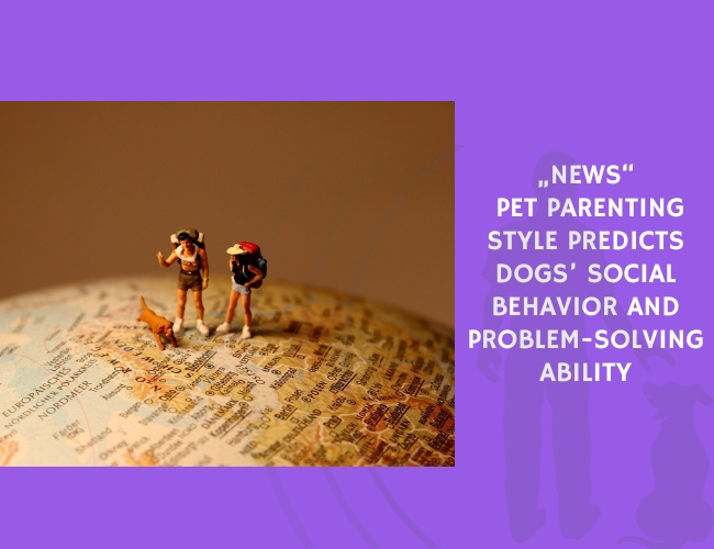 Pet Parenting Style Predicts Dogs’ Social Behavior and Problem-Solving Ability