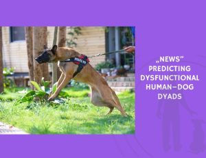 Predicting Dysfunctional Human–Dog Dyads