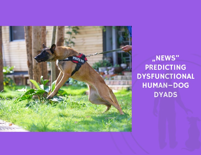 Predicting Dysfunctional Human–Dog Dyads