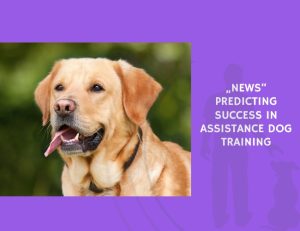 Predicting Success in Assistance Dog Training