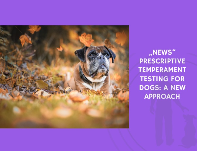 Prescriptive Temperament Testing for Dogs A New Approach