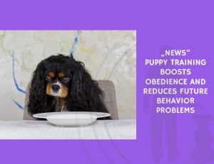 Puppy Training Boosts Obedience and Reduces Future Behavior Problems