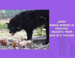 Rabies Burden in Ethiopia Insights from Dog Bite Tracing