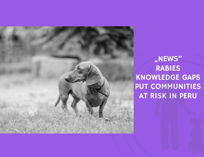 Rabies Knowledge Gaps Put Communities at Risk in Peru