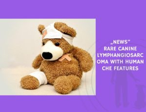 Rare Canine Lymphangiosarcoma With Human CHE Features
