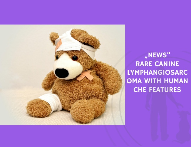 Rare Canine Lymphangiosarcoma With Human CHE Features