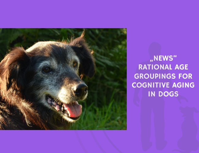 Rational Age Groupings for Cognitive Aging in Dogs