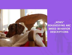 Reassessing AKC Breed Behavior Descriptions
