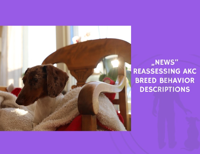 Reassessing AKC Breed Behavior Descriptions