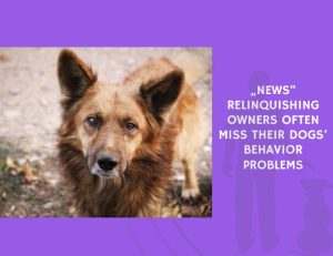 Relinquishing Owners Often Miss Their Dogs’ Behavior Problems