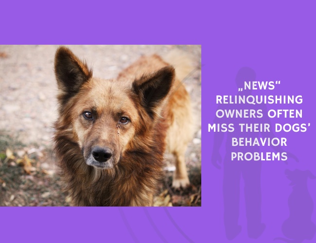 Relinquishing Owners Often Miss Their Dogs’ Behavior Problems