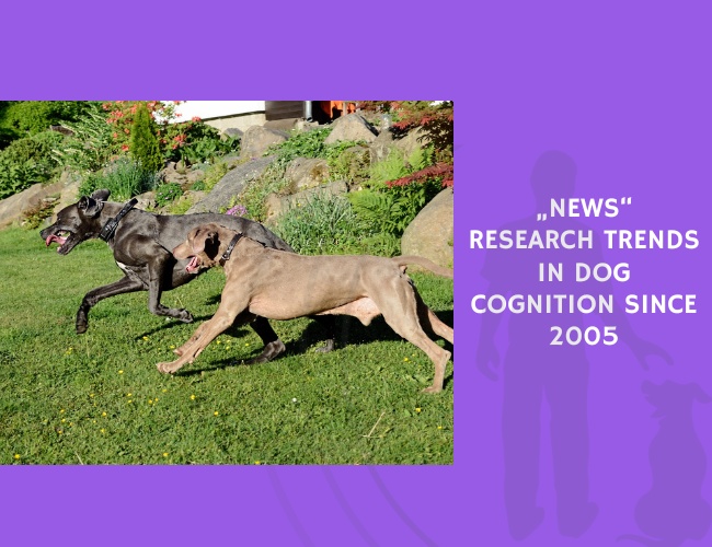 Research Trends in Dog Cognition Since 2005