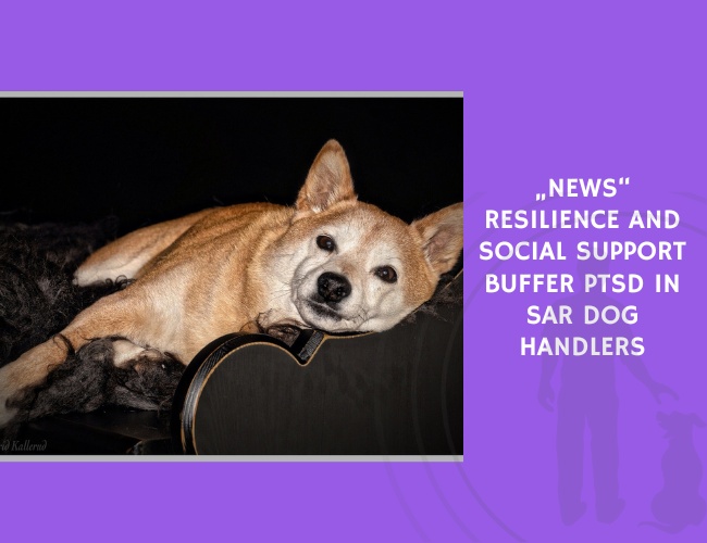 Resilience and Social Support Buffer PTSD in SAR Dog Handlers