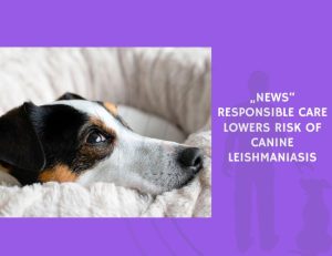 Responsible Care Lowers Risk of Canine Leishmaniasis