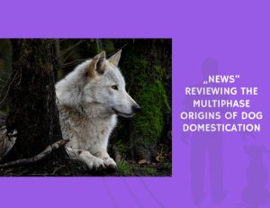 Reviewing the Multiphase Origins of Dog Domestication