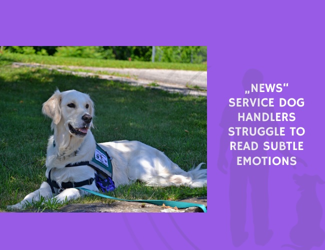 Service Dog Handlers Struggle to Read Subtle Emotions