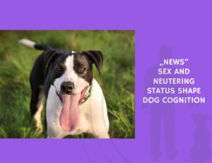 Sex and Neutering Status Shape Dog Cognition