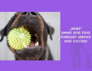 Smart Dog Toys Forecast Service Dog Success