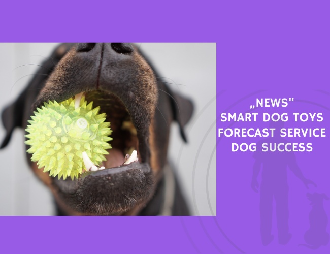 Smart Dog Toys Forecast Service Dog Success