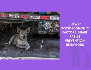 Socioeconomic Factors Shape Rabies Prevention Behaviors
