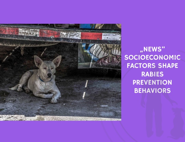 Socioeconomic Factors Shape Rabies Prevention Behaviors
