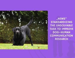 Standardizing the Unsolvable Task to Improve Dog–Human Communication Research