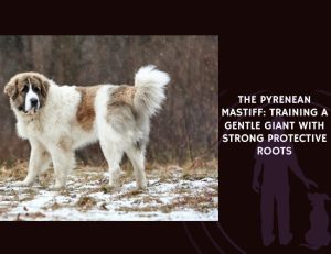 The Pyrenean Mastiff Training a Gentle Giant With Strong Protective Roots