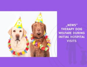 Therapy Dog Welfare During Initial Hospital Visits