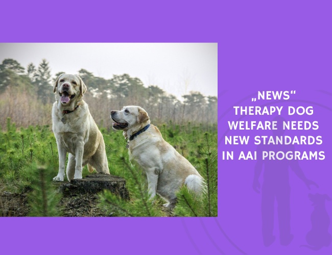 Therapy Dog Welfare Needs New Standards in AAI Programs