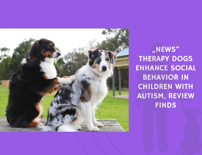 Therapy Dogs Enhance Social Behavior in Children with Autism, Review Finds