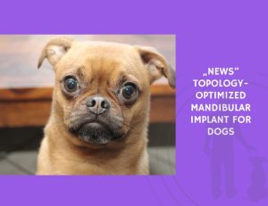 Topology-Optimized Mandibular Implant for Dogs