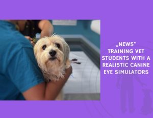 Training Vet Students with a Realistic Canine Eye Simulator
