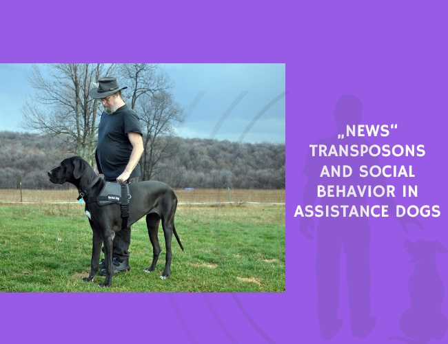 Transposons and Social Behavior in Assistance Dogs