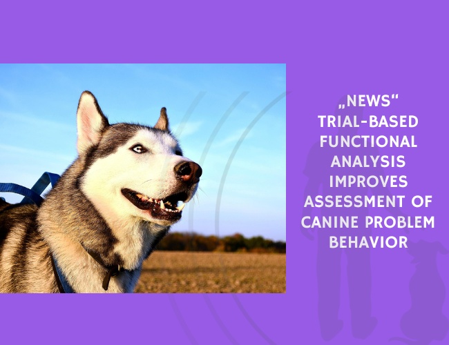 Trial-Based Functional Analysis Improves Assessment of Canine Problem Behavior