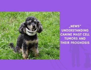 Understanding Canine Mast Cell Tumors and Their Prognosis