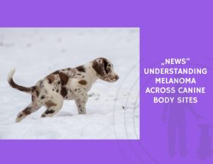 Understanding Melanoma Across Canine Body Sites