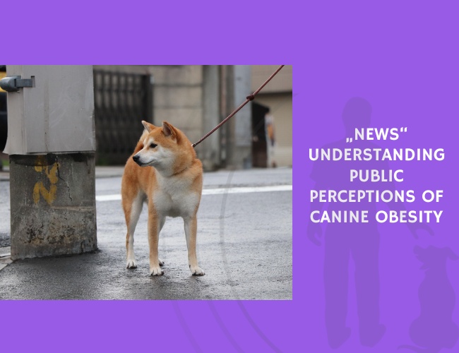 Understanding Public Perceptions of Canine Obesity