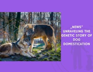 Unraveling the Genetic Story of Dog Domestication