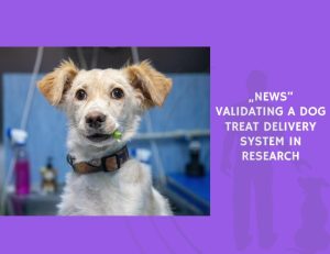 Validating a Dog Treat Delivery System in Research