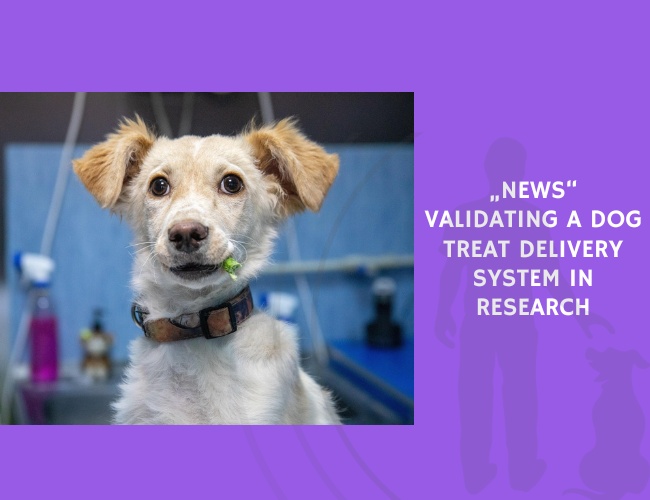 Validating a Dog Treat Delivery System in Research
