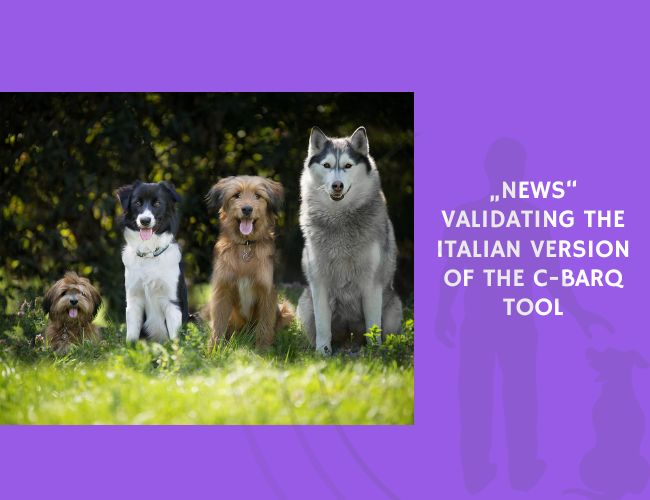 Validating the Italian Version of the C-BARQ Tool