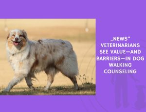 Veterinarians See Value—and Barriers—in Dog Walking Counseling