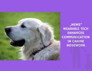 Wearable Tech Enhances Communication in Canine Nosework