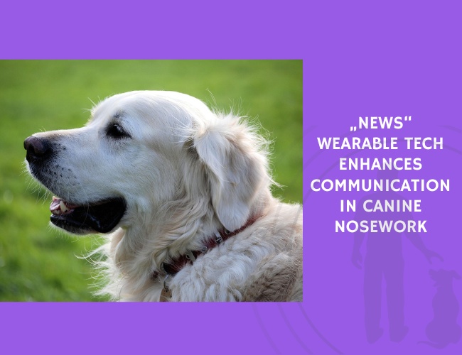 Wearable Tech Enhances Communication in Canine Nosework