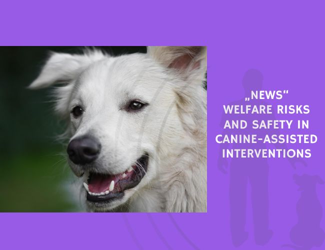 Welfare Risks and Safety in Canine-Assisted Interventions