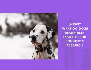 What Do Dogs Really See Insights for Cognition Research