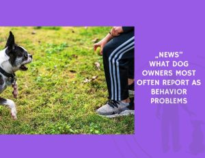 What Dog Owners Most Often Report as Behavior Problems